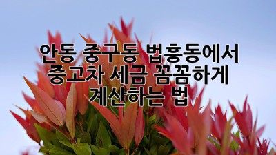 안동 중구동, 법흥동에서 중고차 세금 꼼꼼하게 계산하는 법 🚗💰