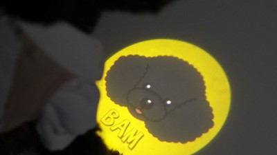 밤산책 필수템! 강아지산책빔 후기와 꿀팁 대방출 ✨