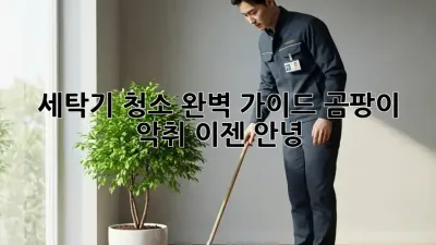 세탁기 청소 완벽 가이드: 곰팡이, 악취 이젠 안녕!